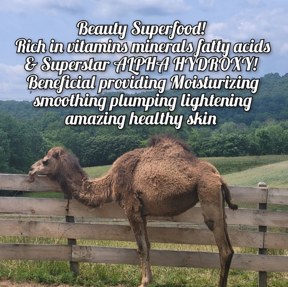 LIMITED QUANTITY Super Beauty Food Camel's Milk Soap - Picture 2 of 14